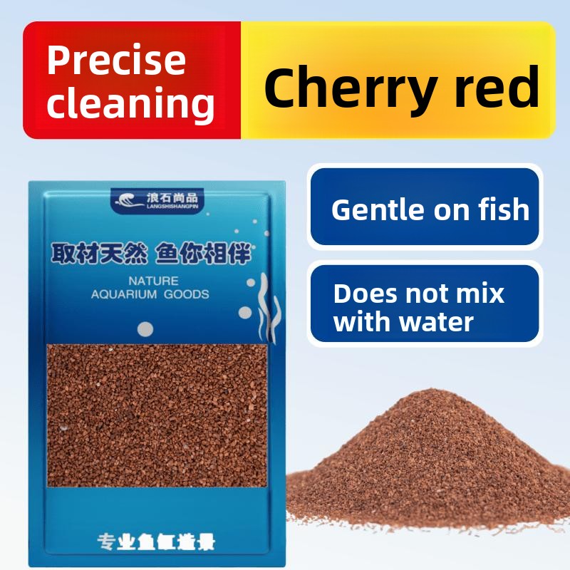 Planted Aquarium With Sand - Refined Waed Rainforest Sand for Aquarium