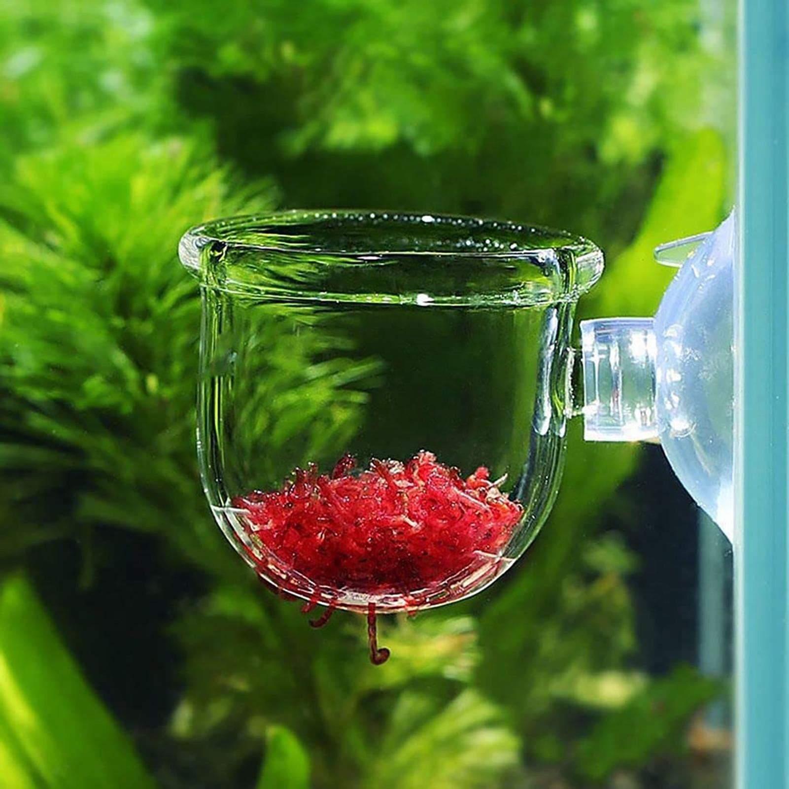 Planted Aquarium Products - Plant Holder for Fish Tank Clear