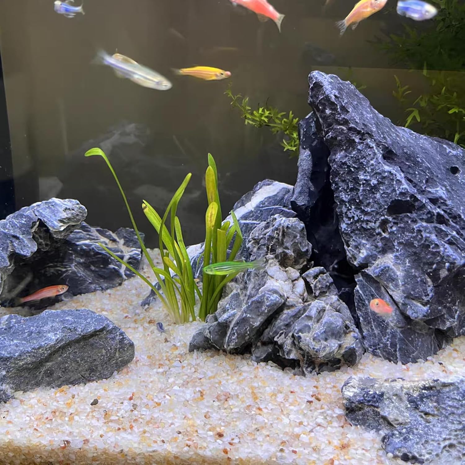 5lb Aquarium Silica Sand 0.4-0 - Planted Aquarium With Sand avis et prix
