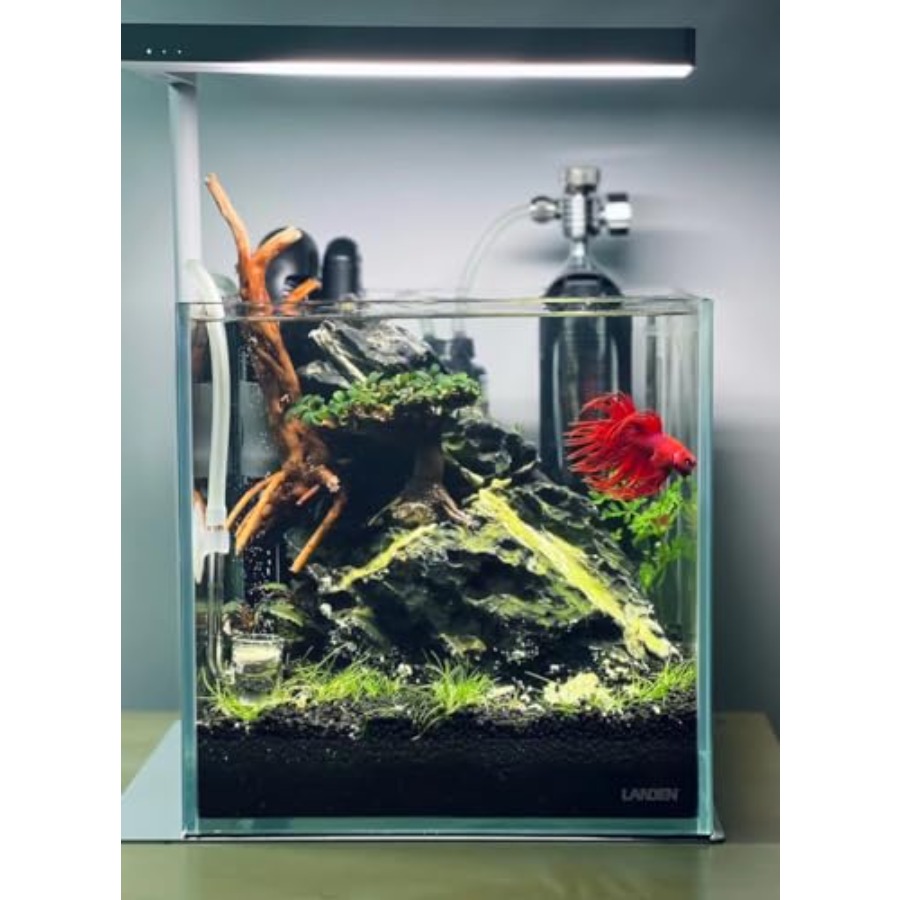 Aquarium Substrate Bundle Aqua - Planted Aquarium With Sand avis et prix