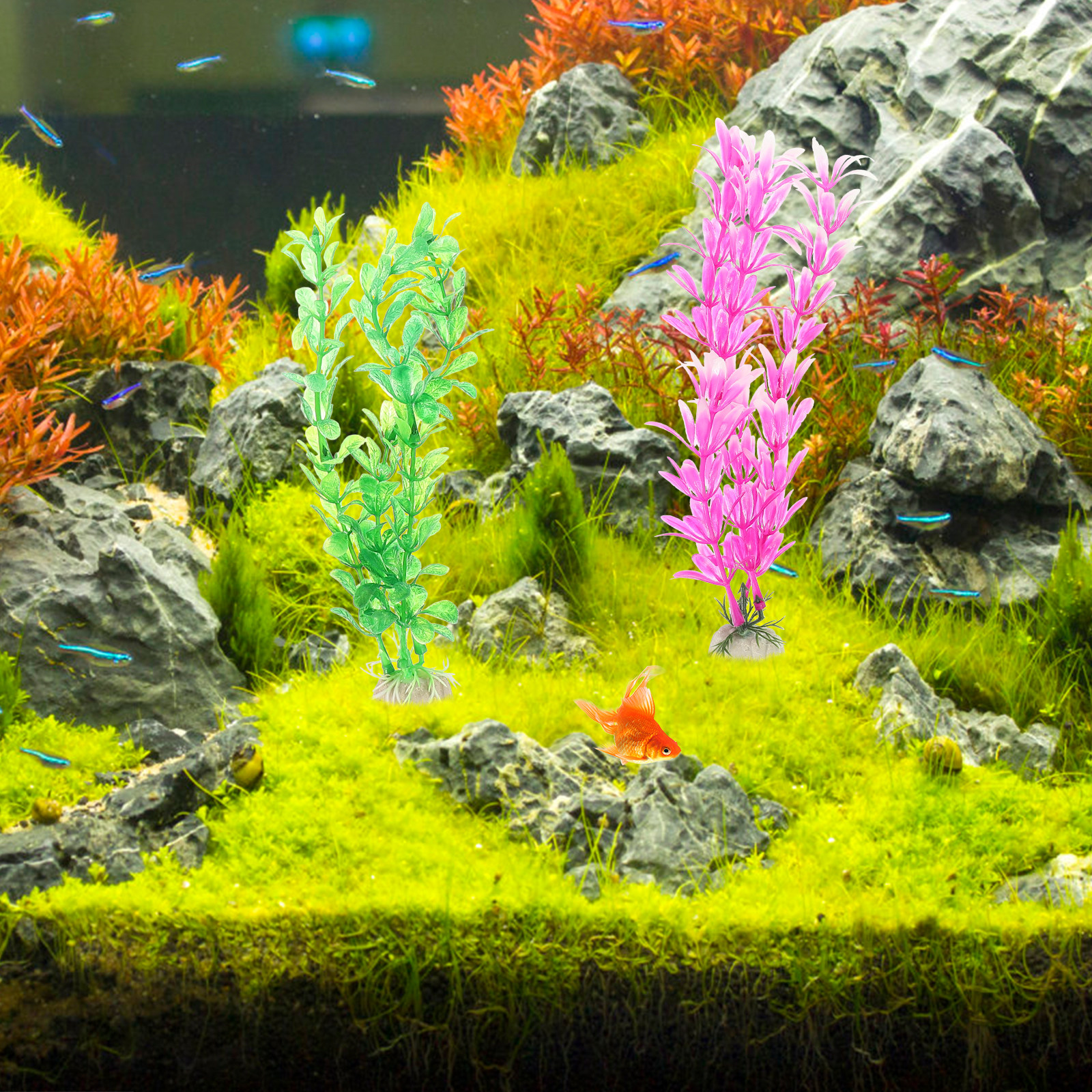 7Pcs Lightweight Non-Toxic Sim - Non Planted Aquarium Fish avis et prix