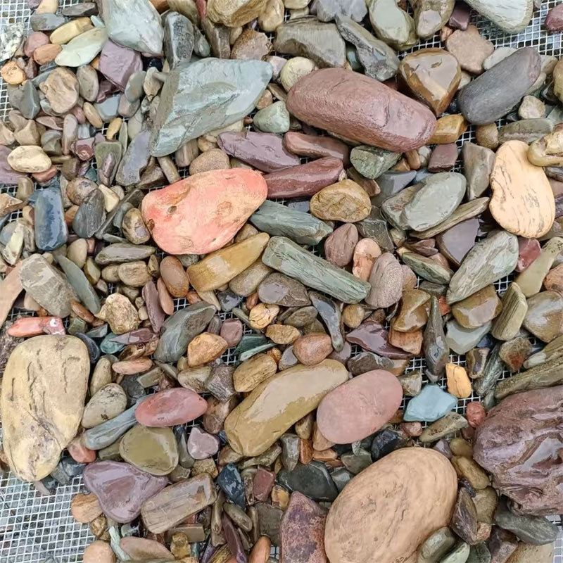 500g Fish Tank Bottom Sand Sto - Planted Aquarium With Sand avis et prix