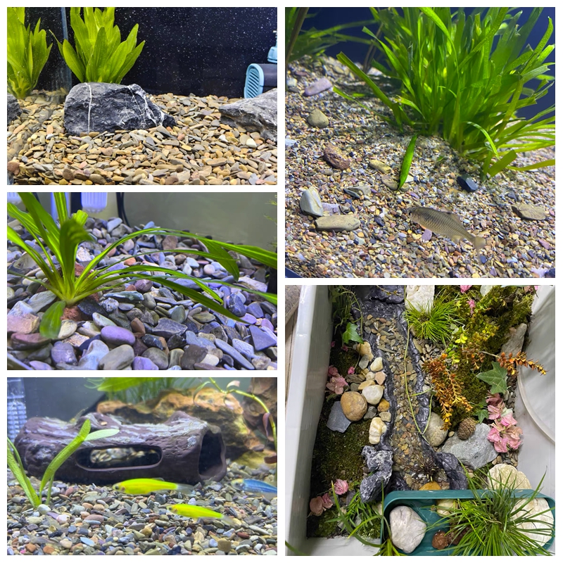 500g Fish Tank Bottom Sand Sto - Planted Aquarium With Sand avis et prix