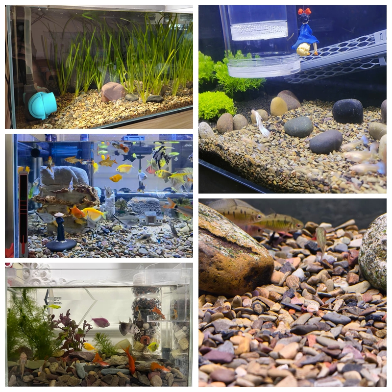 500g Fish Tank Bottom Sand Sto - Planted Aquarium With Sand avis et prix