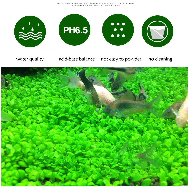 Fish Tank Water Grass Mud Plan - Planted Aquarium With Sand avis et prix