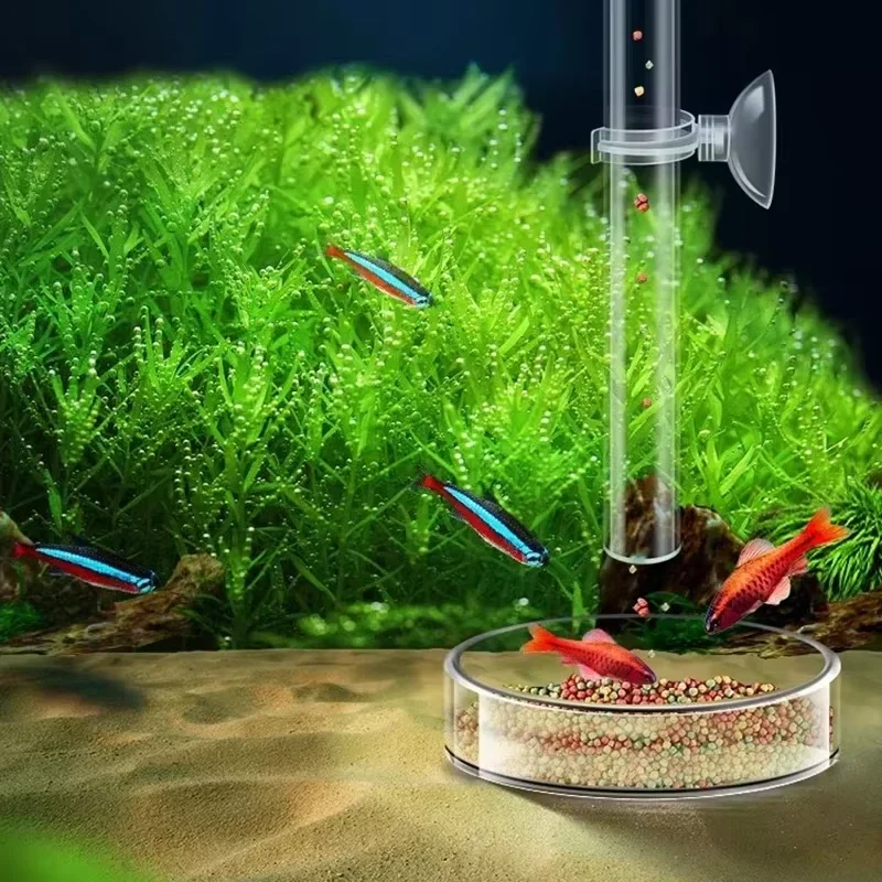 Aquarium Glass Feeding Tube &  - Aquarium Plant Red avis et prix