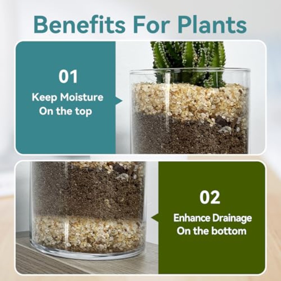 1-2mm Coarse Sand for Plants,  - Planted Aquarium With Sand avis et prix