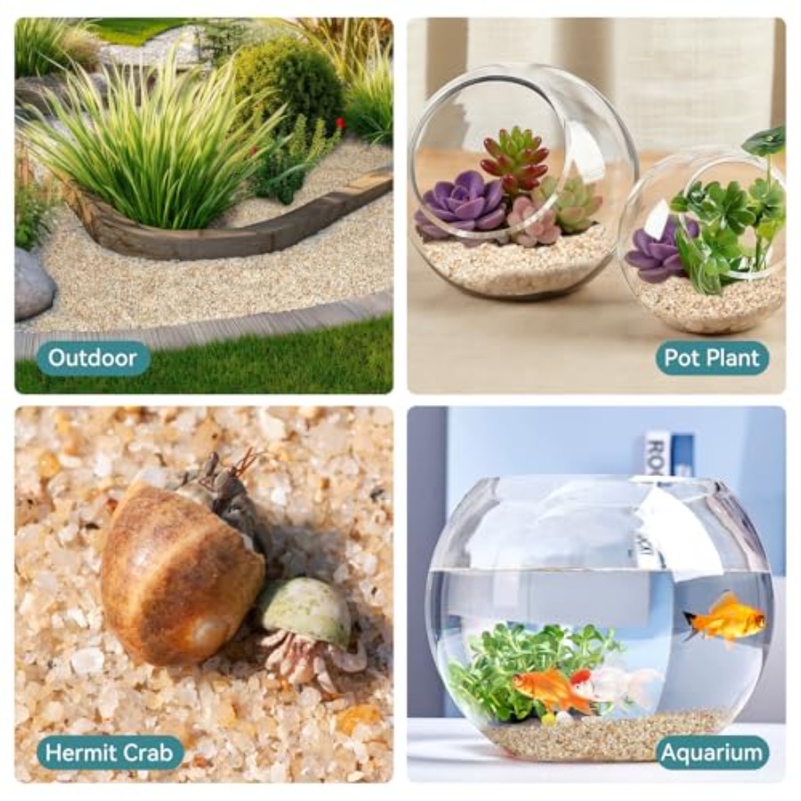 1-2mm Coarse Sand for Plants,  - Planted Aquarium With Sand avis et prix