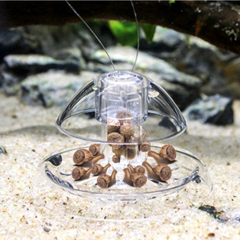1PCS Fish Tank Aquarium Cleane - Planted Aquarium Products avis et prix