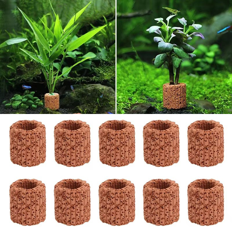 Aquatic Plant Fixed Ring for A - Planted Aquarium Products avis et prix
