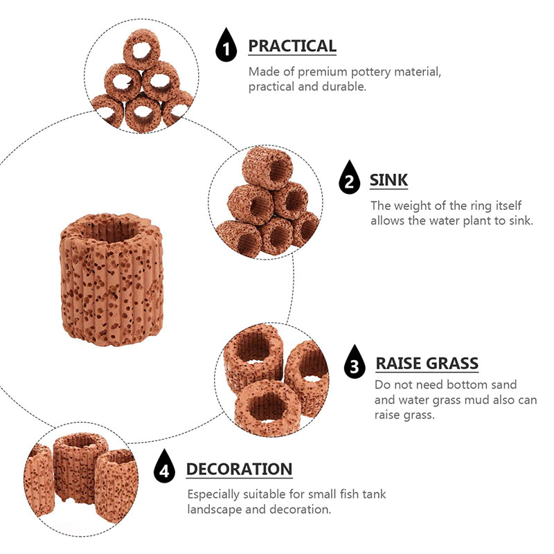Aquatic Plant Fixed Ring for A - Planted Aquarium Products avis et prix