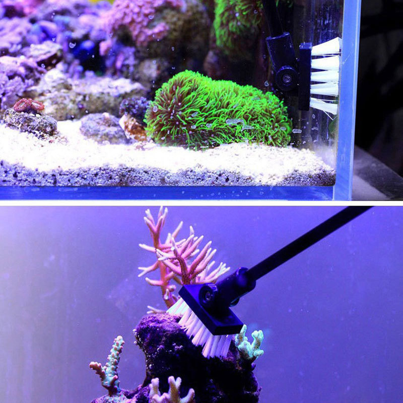 Fishing Cleaning Brush Plant T - Planted Aquarium Products avis et prix