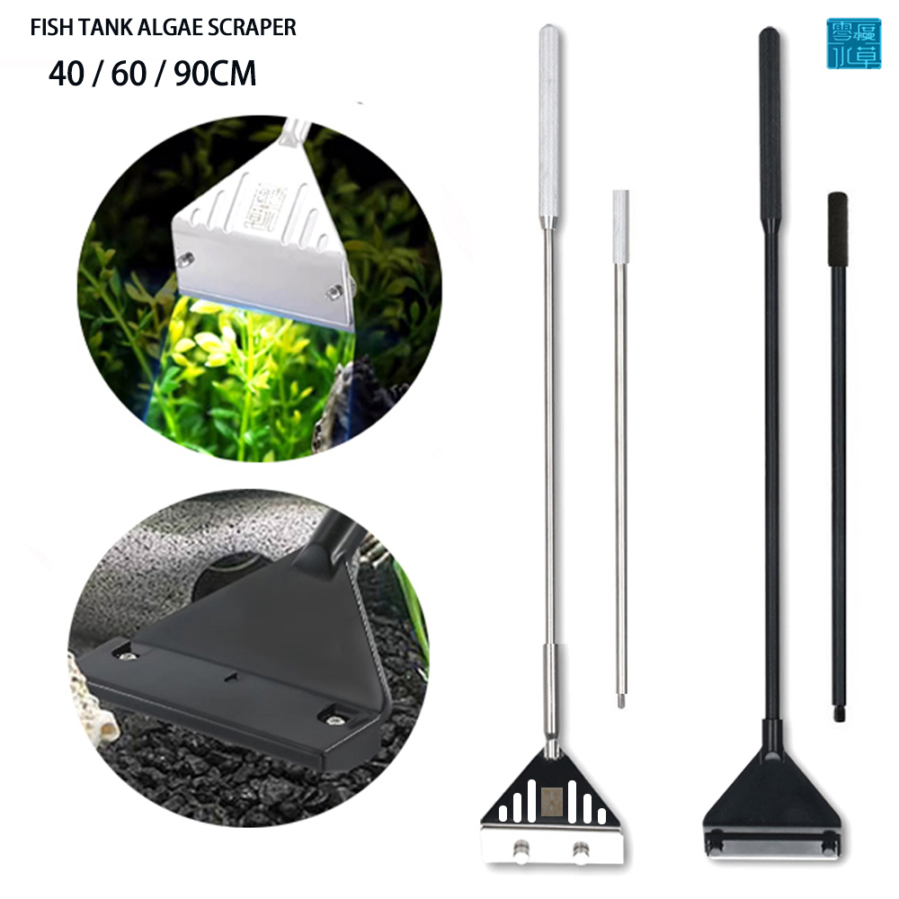 Aquarium Stainless Steel Fish  - Planted Aquarium Algae avis et prix