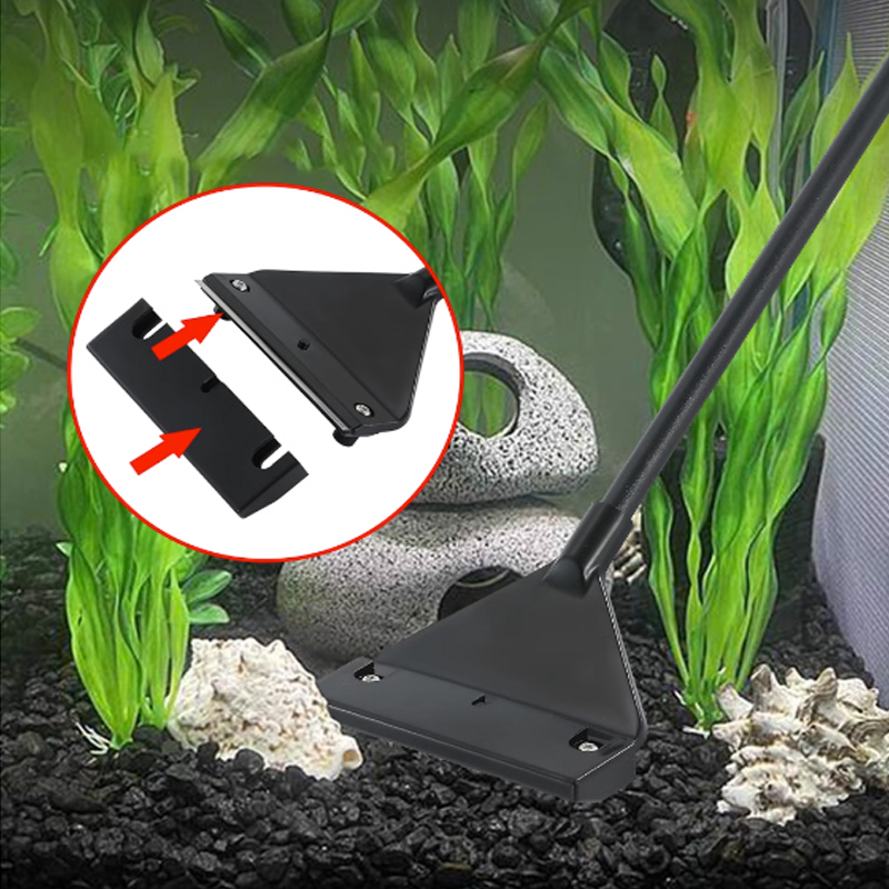 Aquarium Stainless Steel Fish  - Planted Aquarium Algae avis et prix