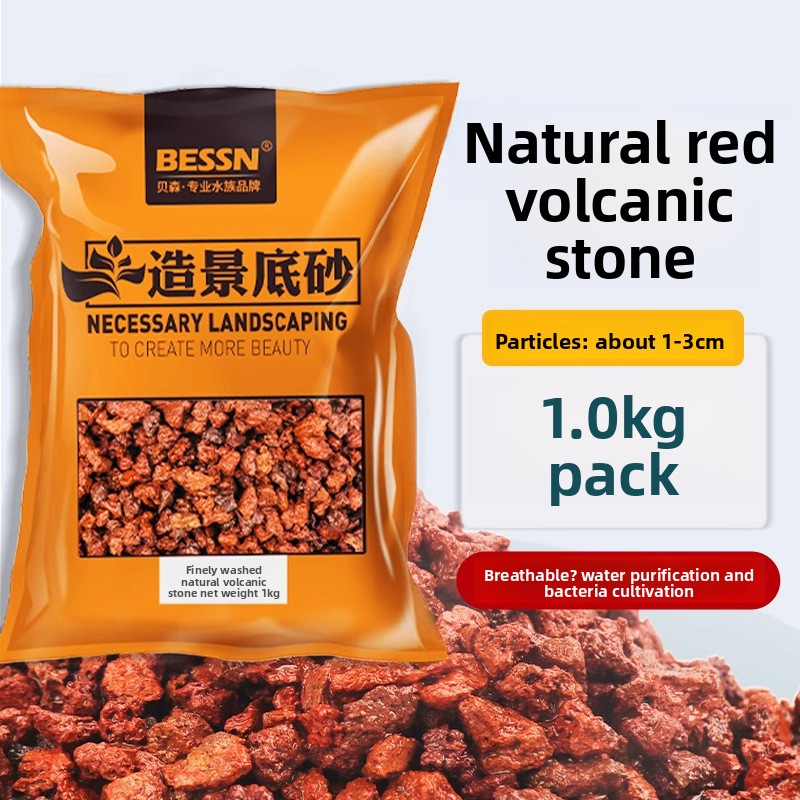 BESSN Volcanic Rock Aquarium S - Planted Aquarium With Sand avis et prix
