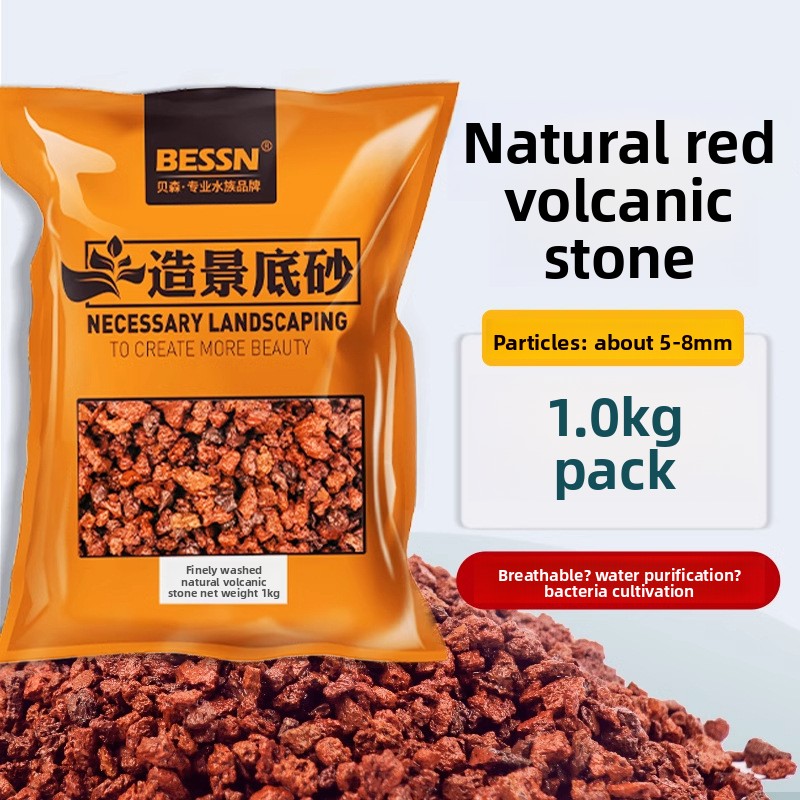 BESSN Volcanic Rock Aquarium S - Planted Aquarium With Sand avis et prix