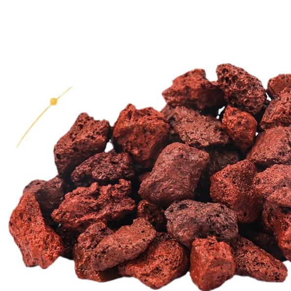 BESSN Volcanic Rock Aquarium S - Planted Aquarium With Sand avis et prix