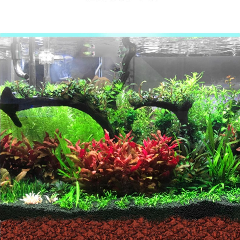 BESSN Volcanic Rock Aquarium S - Planted Aquarium With Sand avis et prix