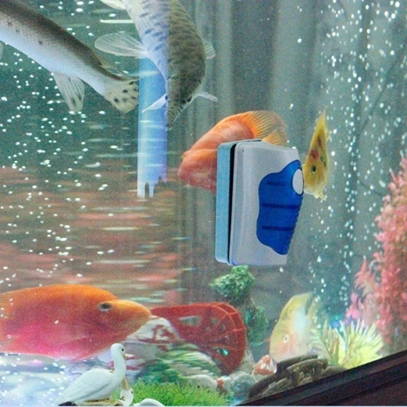 Fish Tank Glass Scraper Cleane - Planted Aquarium Products avis et prix