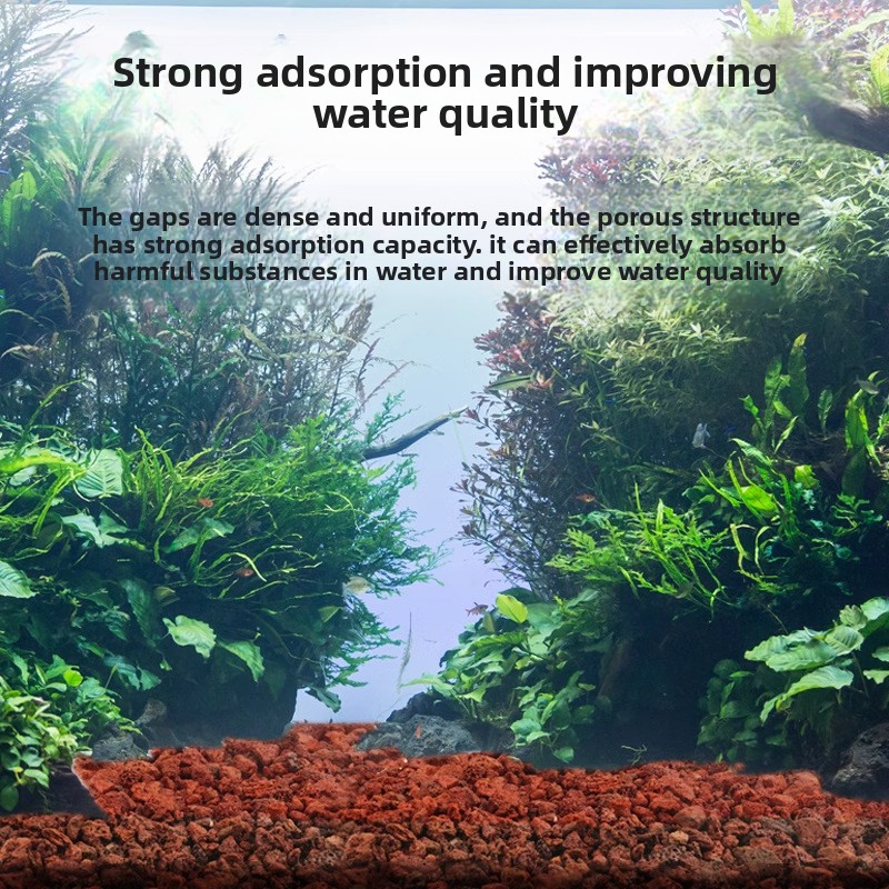BESSN Volcanic Rock Aquarium S - Planted Aquarium With Sand avis et prix