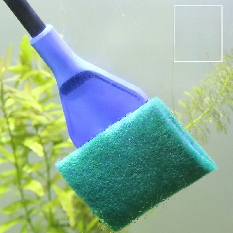 Aquarium Cleaning Tool Set Mul - Planted Aquarium Algae avis et prix