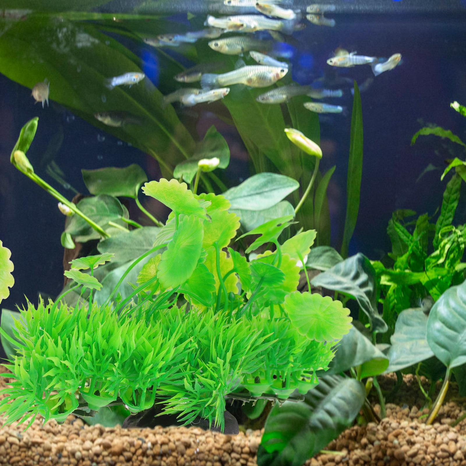 Natural Style Fake Aquarium Pl - Non Planted Aquarium Fish avis et prix