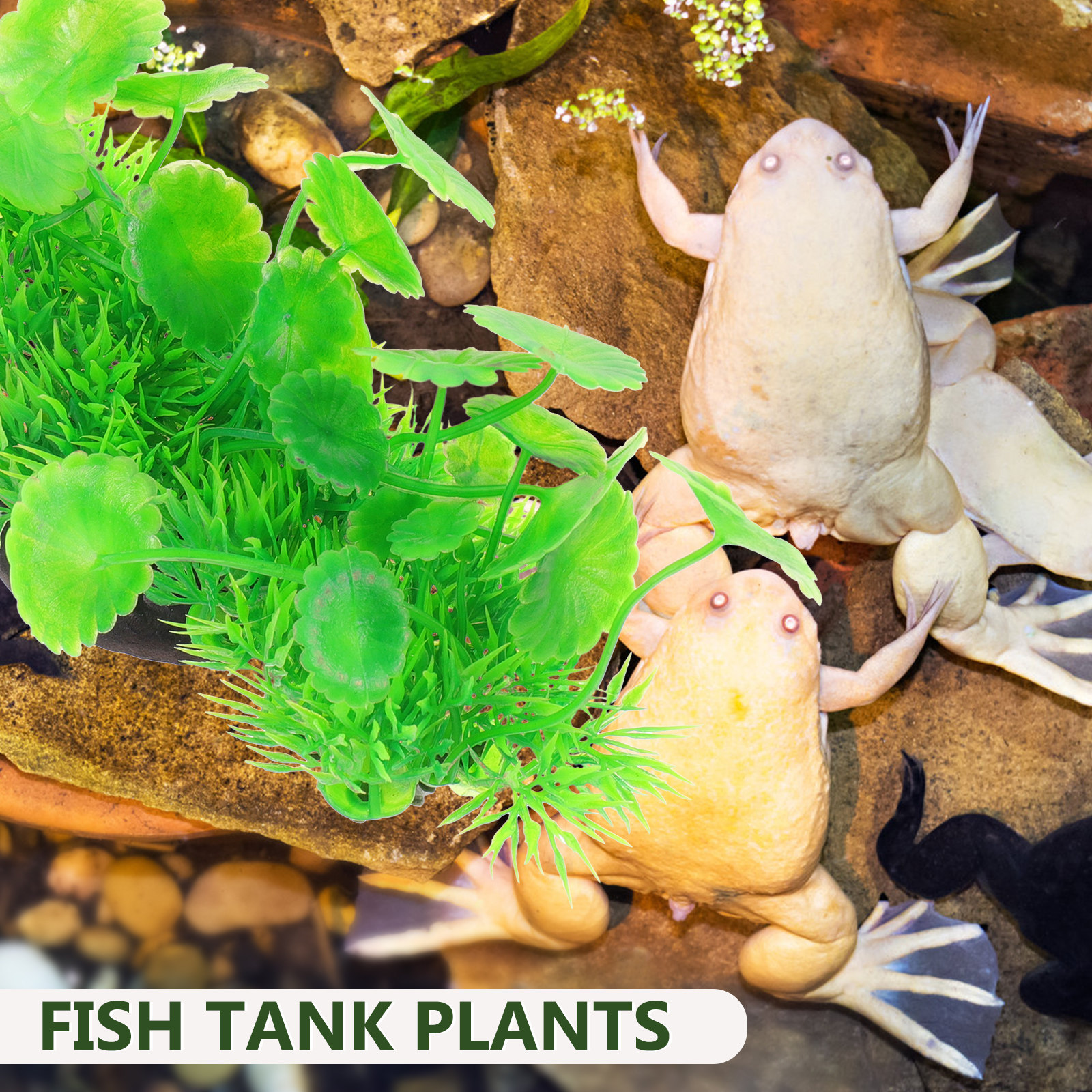 Natural Style Fake Aquarium Pl - Non Planted Aquarium Fish avis et prix