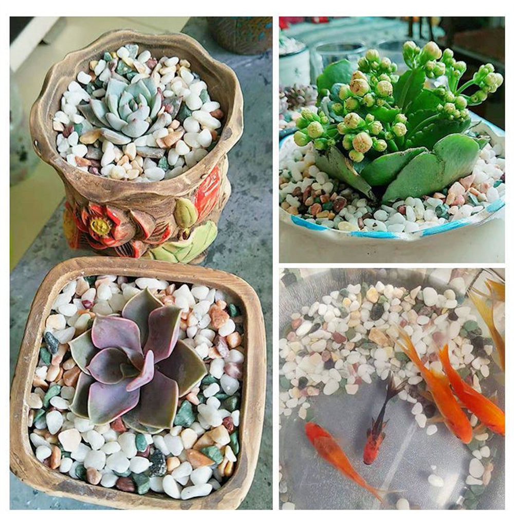 50/100g Natural Crystals Grave - Planted Aquarium With Sand avis et prix