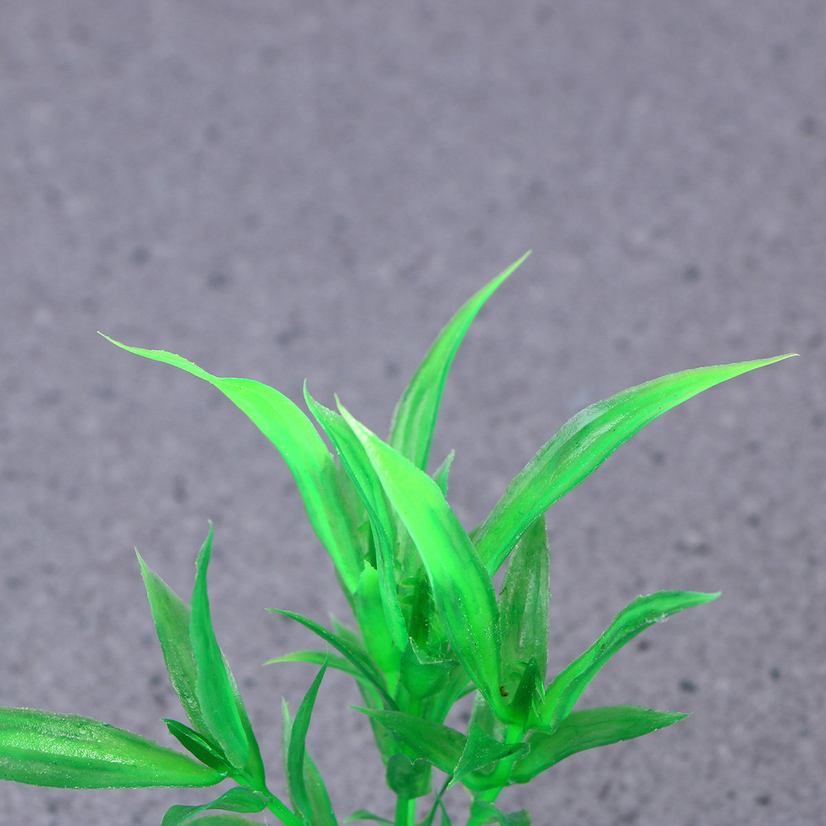 10Pcs Realistic Aquarium Plant - Non Planted Aquarium Fish avis et prix