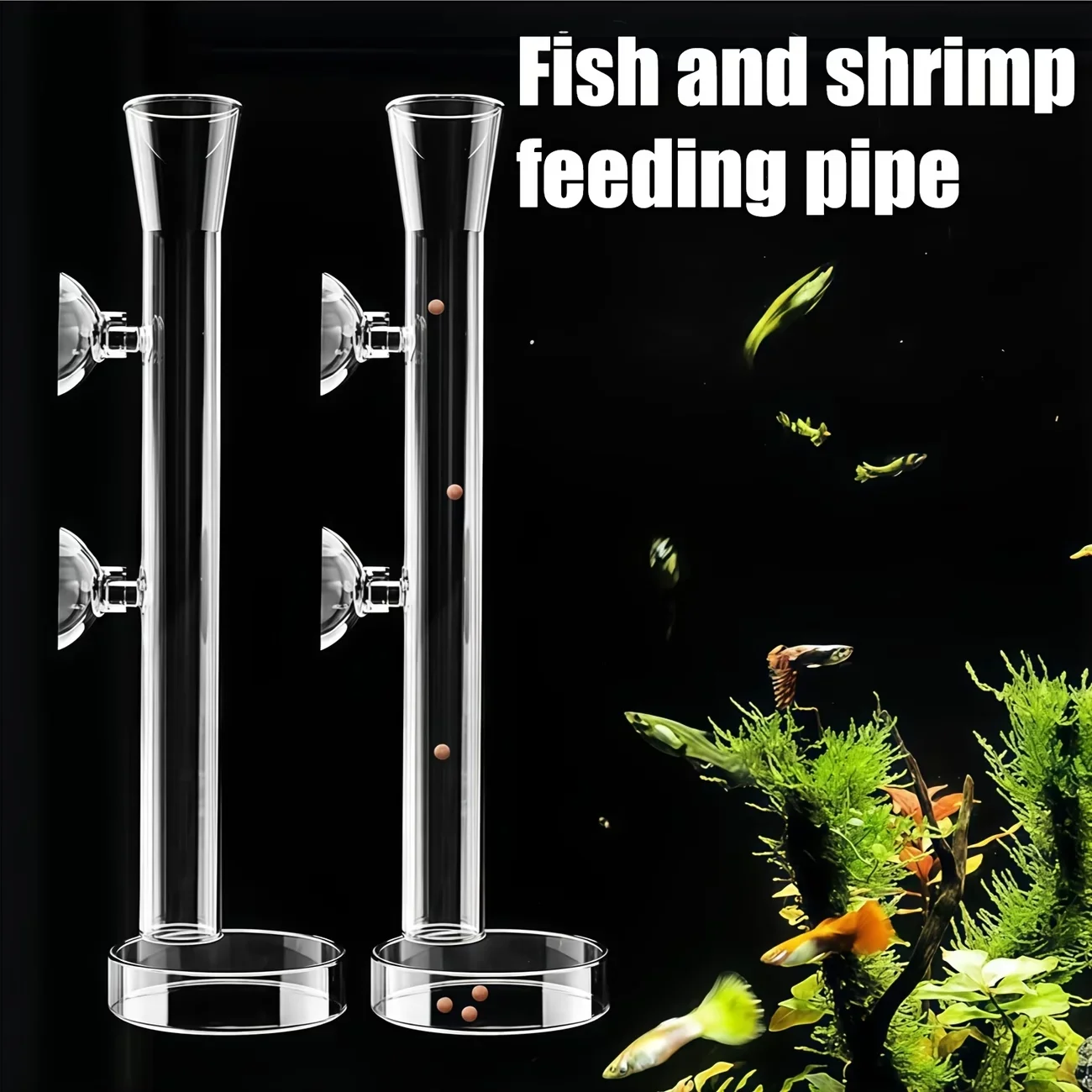 A Top Quality Aquarium Glass F - Aquarium Plant Red avis et prix