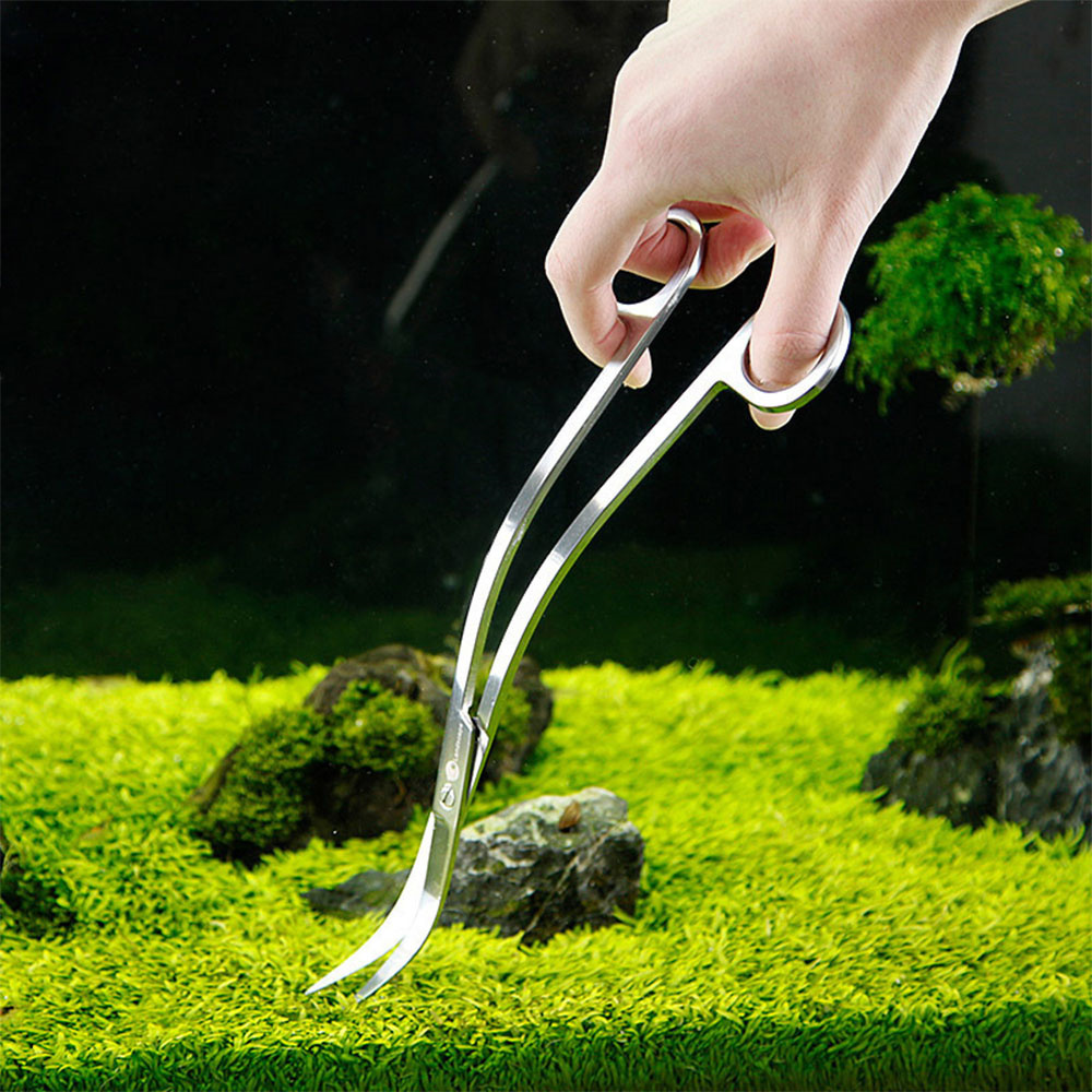 Aquarium Accessories Hard Stai - Planted Aquarium Products avis et prix