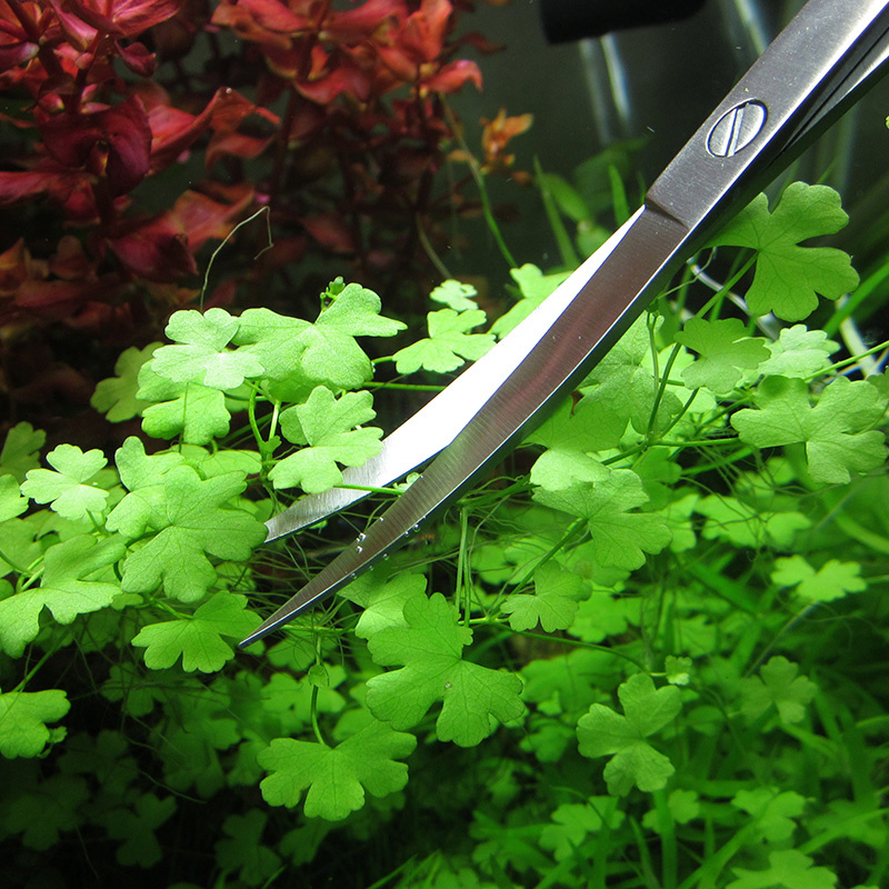 Aquarium Accessories Hard Stai - Planted Aquarium Products avis et prix