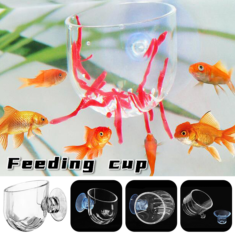 Fish Tank Red Worm Feeder Cup  - Aquarium Plant Red avis et prix