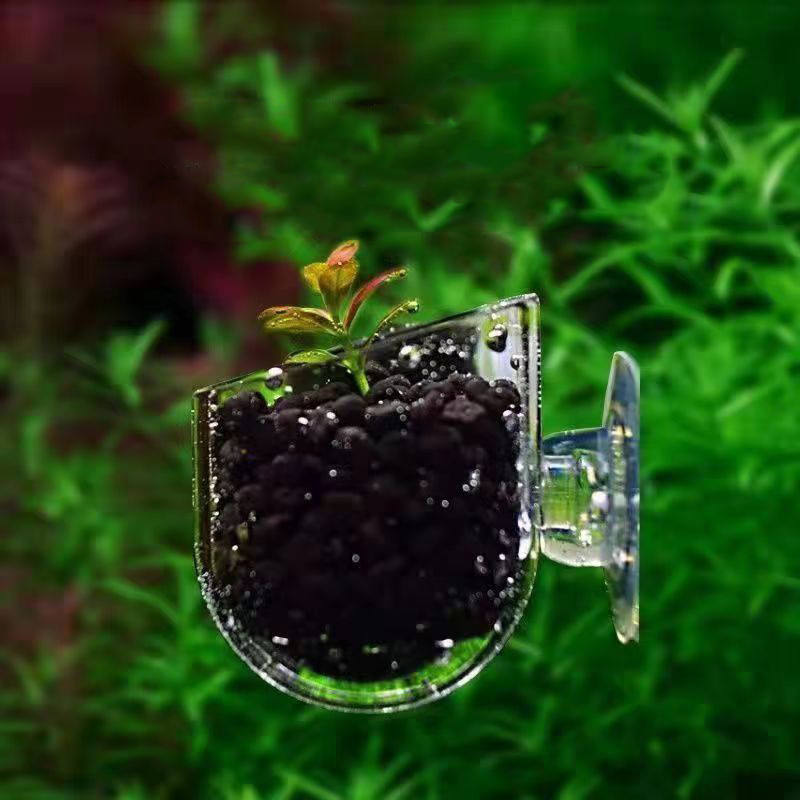 Fish Tank Red Worm Feeder Cup  - Aquarium Plant Red avis et prix