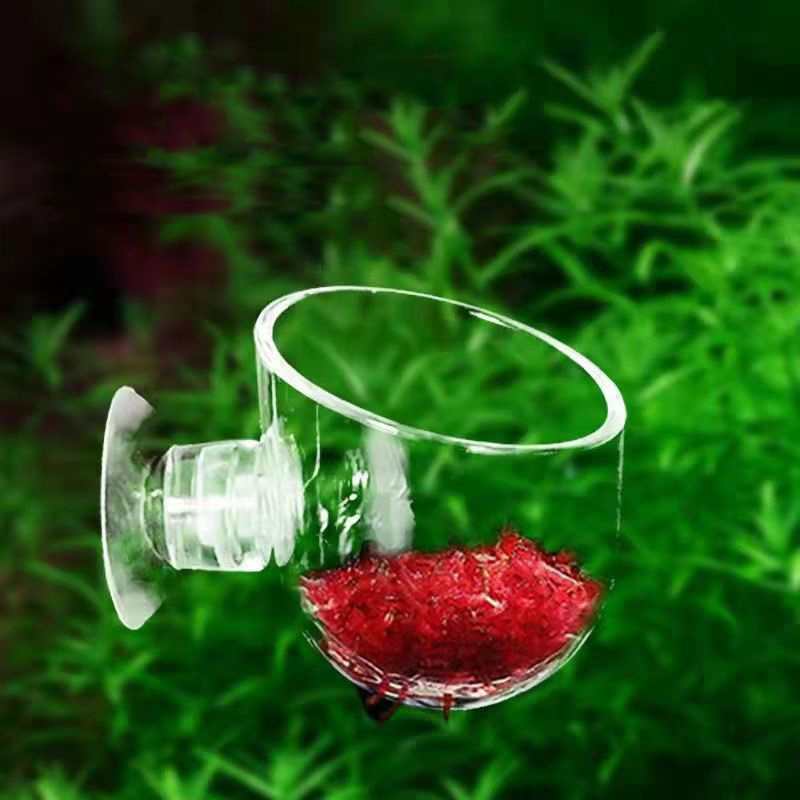Fish Tank Red Worm Feeder Cup  - Aquarium Plant Red avis et prix