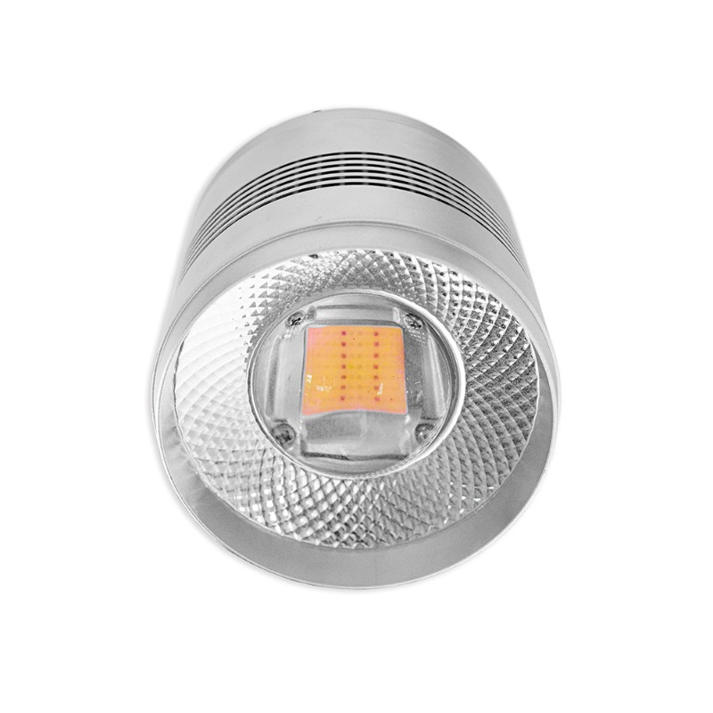 70W LED Aquarium Light for Fre - Planted Aquarium Algae Control avis et prix