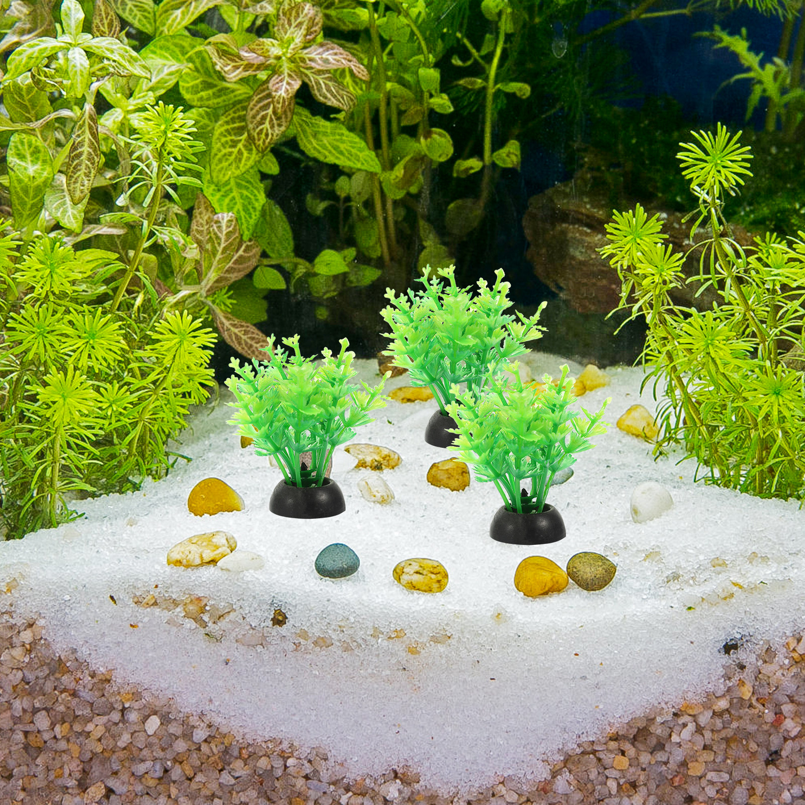 20Pcs Safe Non-Toxic Plastic A - Non Planted Aquarium Fish avis et prix