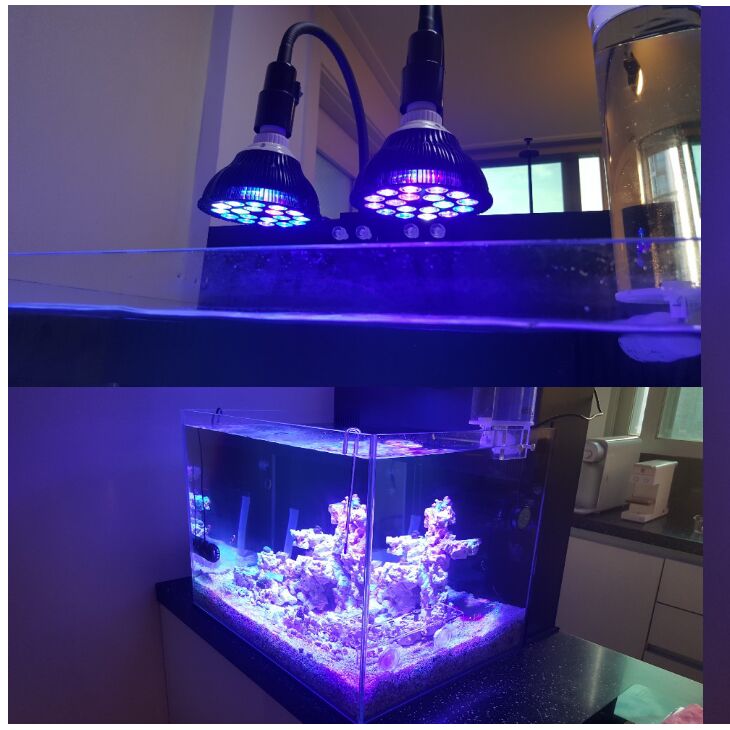 Free customize LED Aquarium li - Planted Aquarium Algae avis et prix