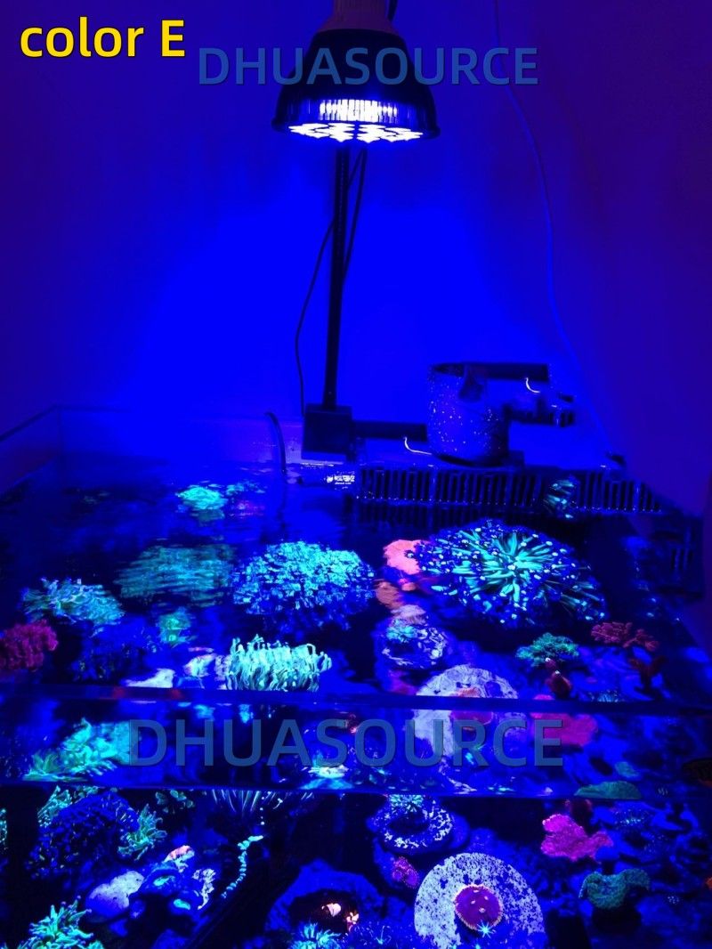 Free customize LED Aquarium li - Planted Aquarium Algae avis et prix