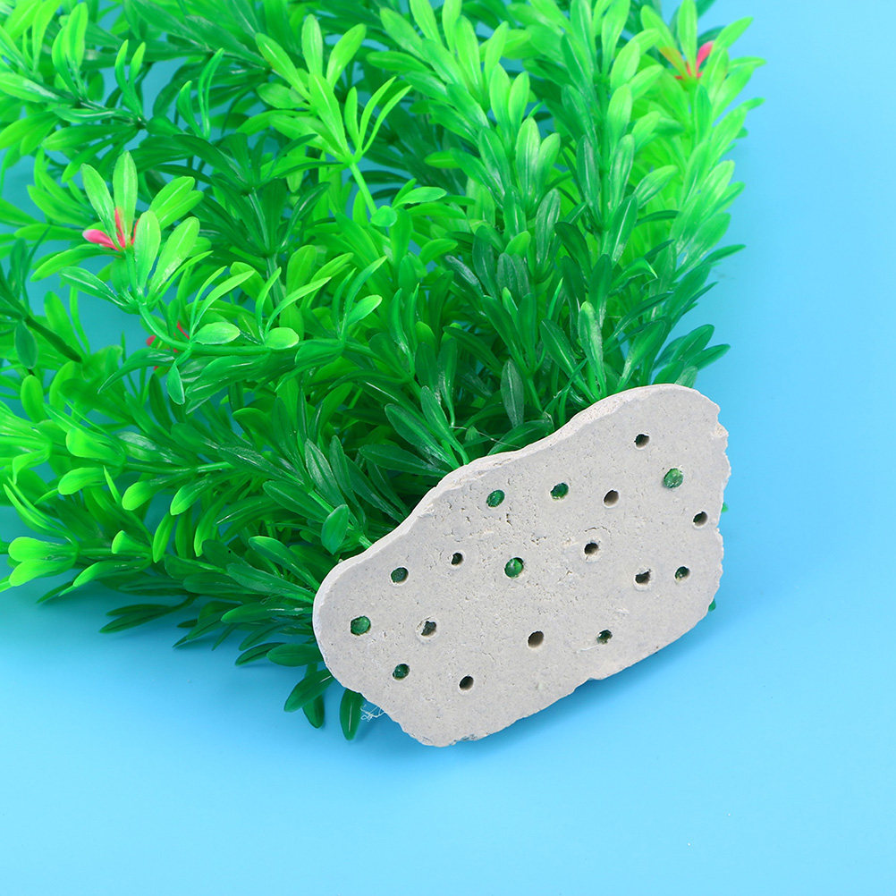 70Cm Realistic Artificial Aqua - Non Planted Aquarium Fish avis et prix