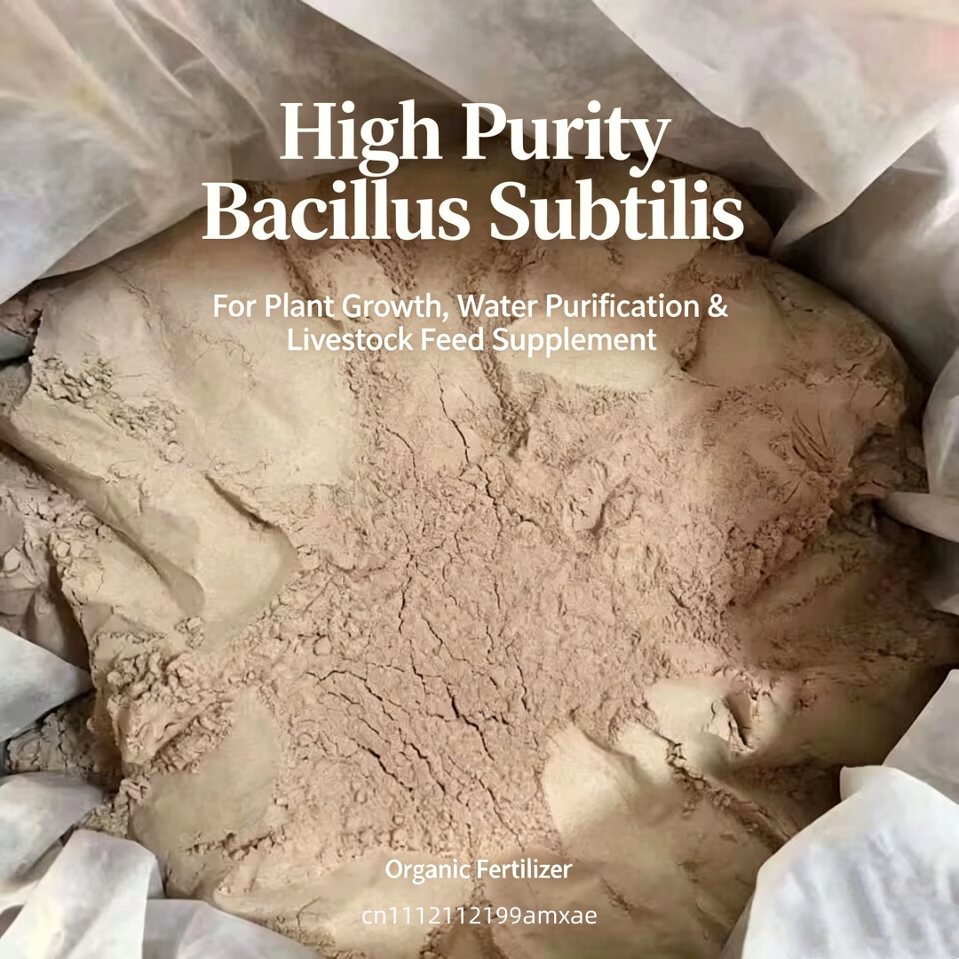 High Activity Bacillus Subtili - Aquarium Plant Root Fertilizer avis et prix