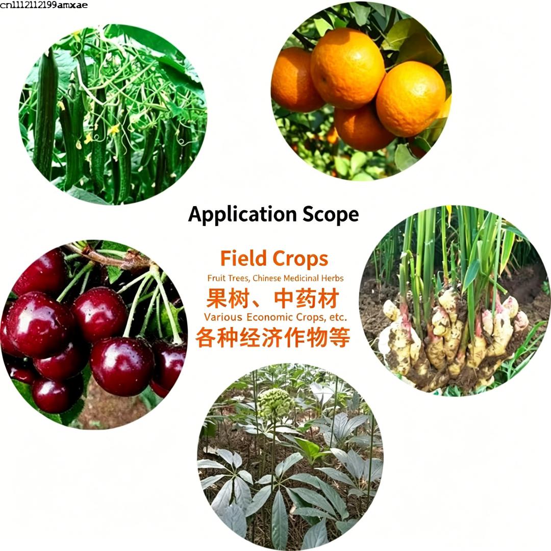 High Activity Bacillus Subtili - Aquarium Plant Root Fertilizer avis et prix