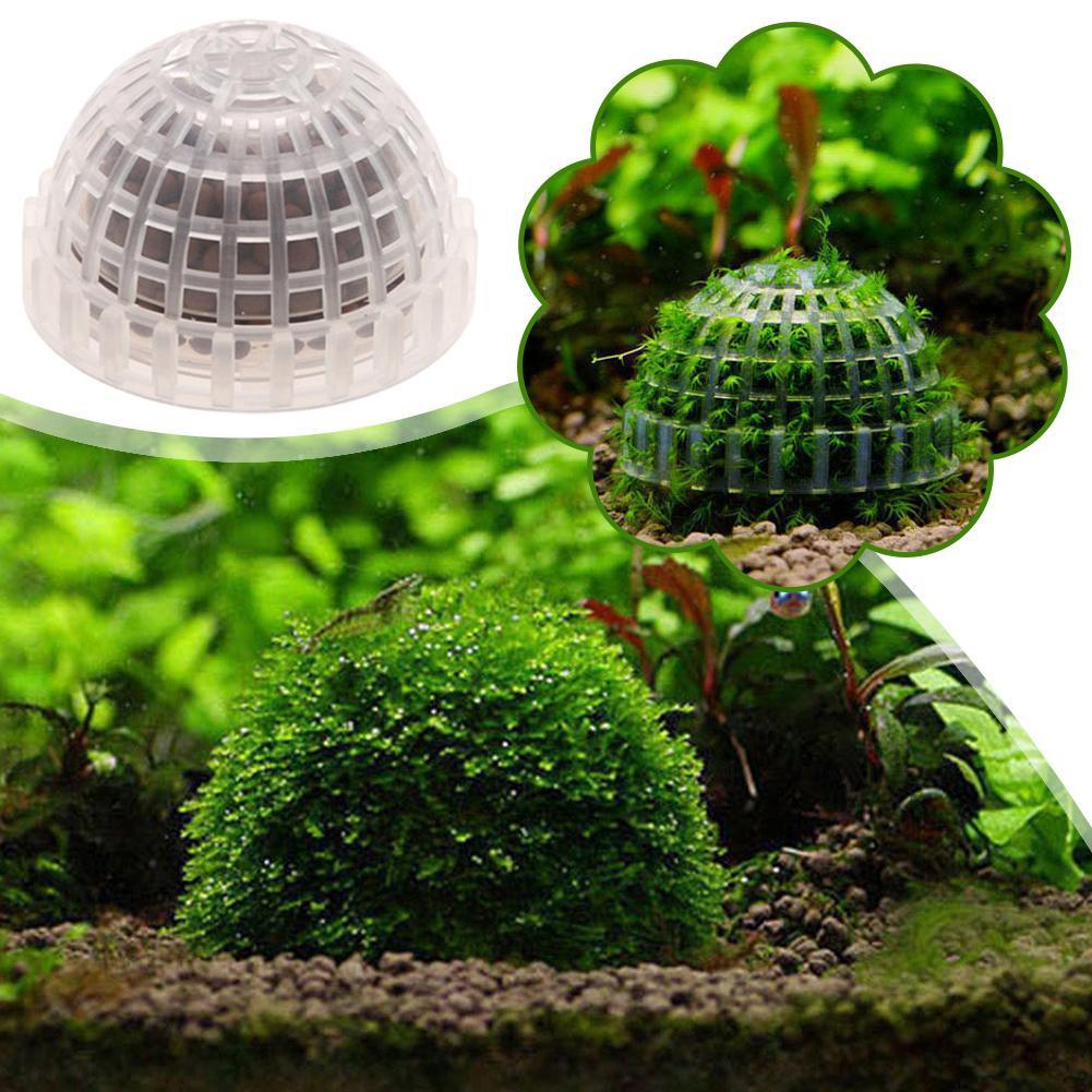 1/2/3/4/5PCS Aquarium Decorati - Aquarium Plant Red avis et prix