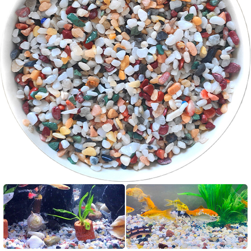 Natural Gravel Stone 200~1000g - Planted Aquarium With Sand avis et prix