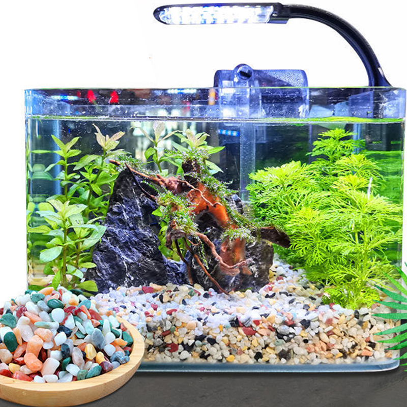Natural Gravel Stone 200~1000g - Planted Aquarium With Sand avis et prix