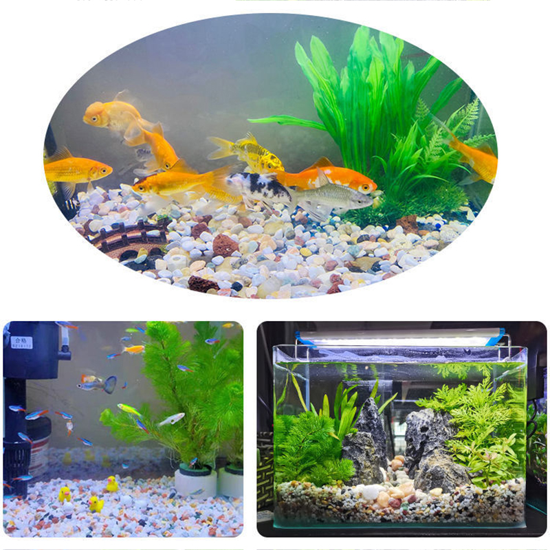 Natural Gravel Stone 200~1000g - Planted Aquarium With Sand avis et prix