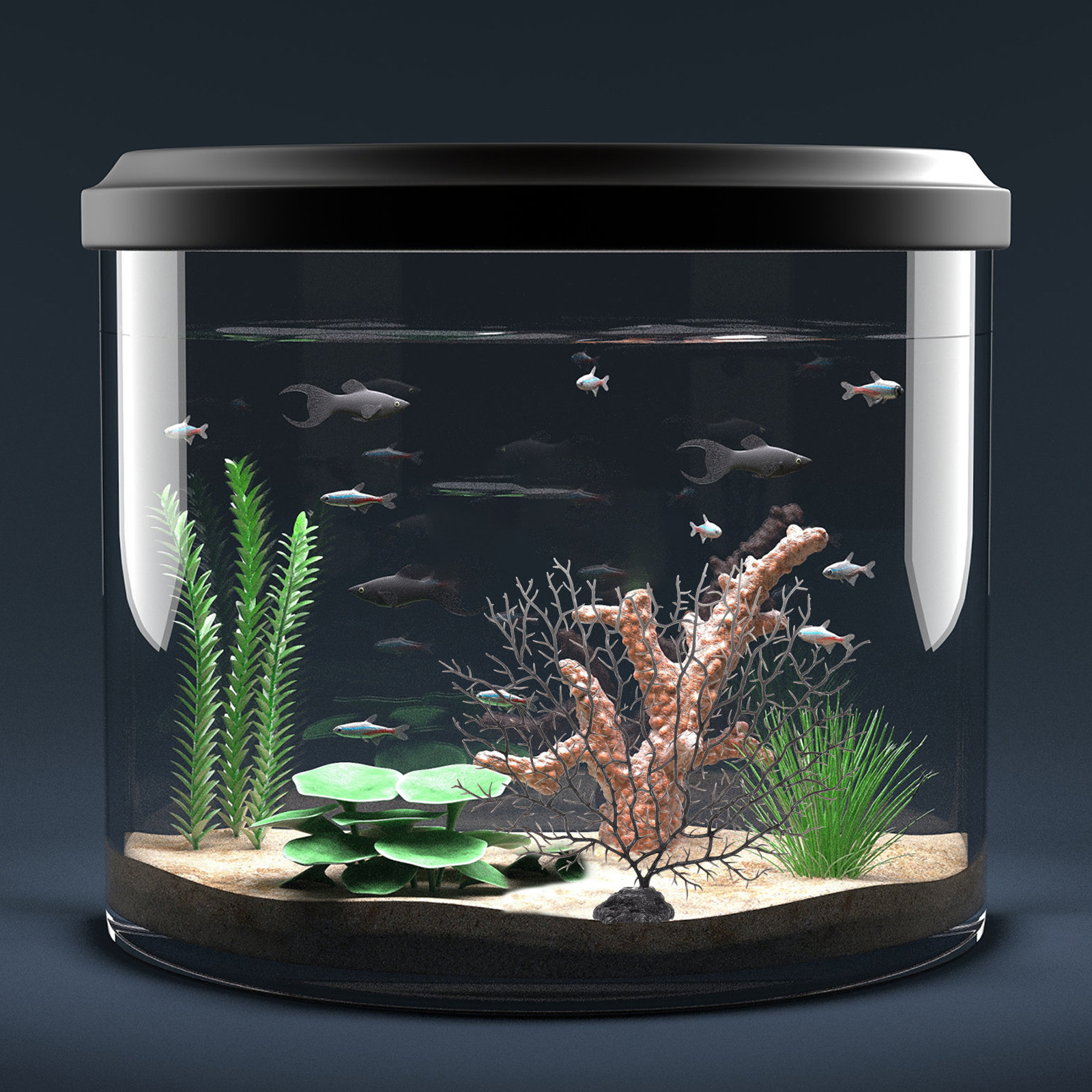 Artificial Coral Tree for Fish - Non Planted Aquarium Fish avis et prix