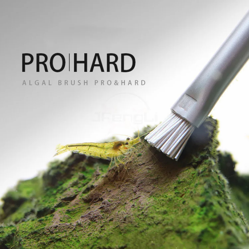 Aquapro Algae Brush Cleaning B - Planted Aquarium Algae avis et prix
