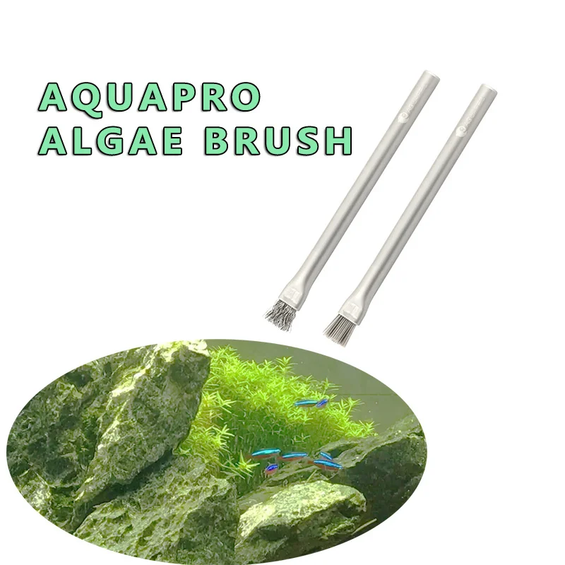 Aquapro Algae Brush Cleaning B - Planted Aquarium Algae avis et prix