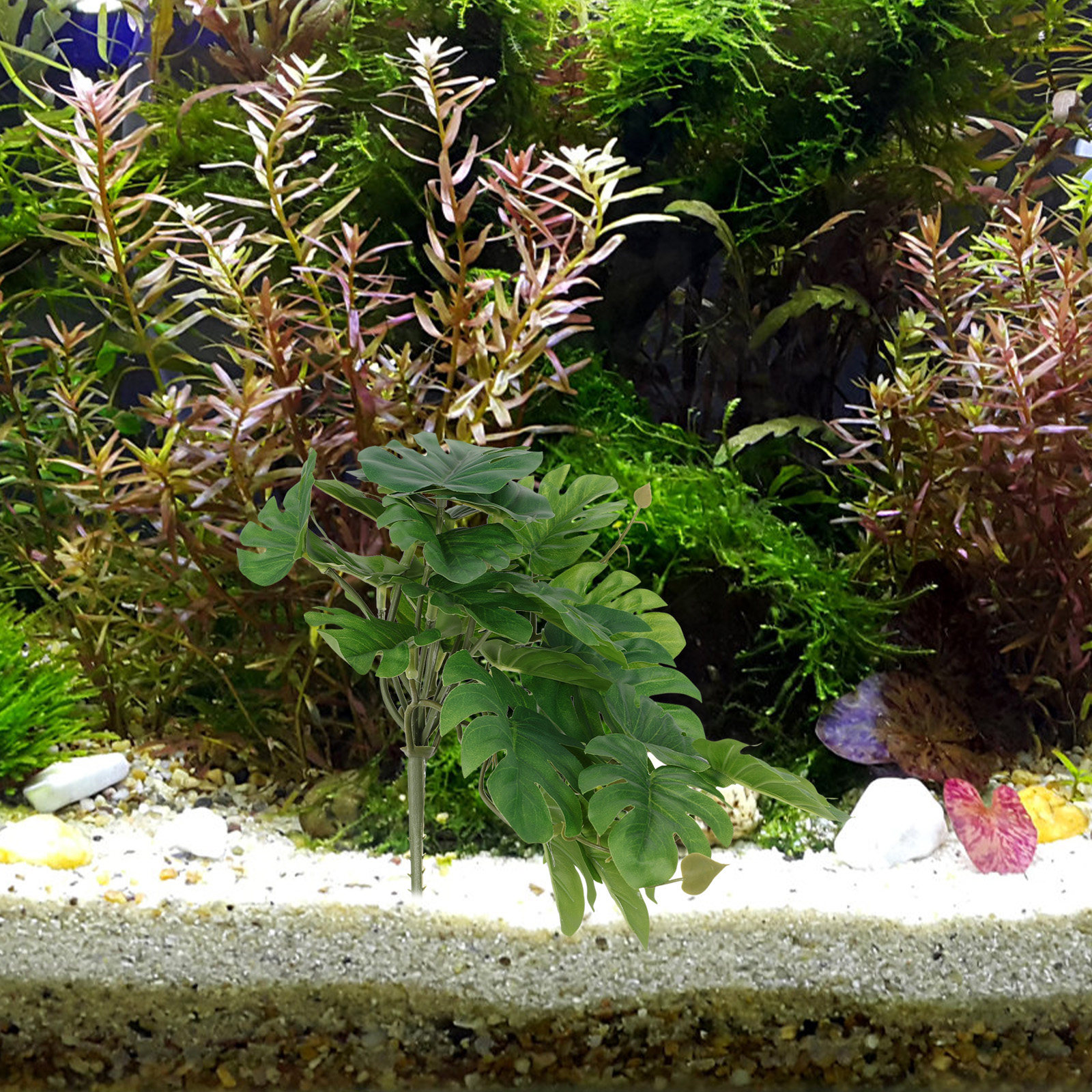 Realistic Plastic Aquarium Pla - Non Planted Aquarium Fish avis et prix
